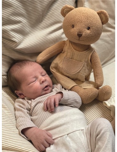 Chupetero oso Marcel