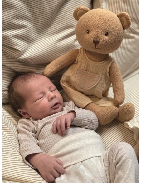 Chupetero oso Marcel