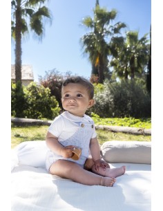 Peto kerala celeste 2