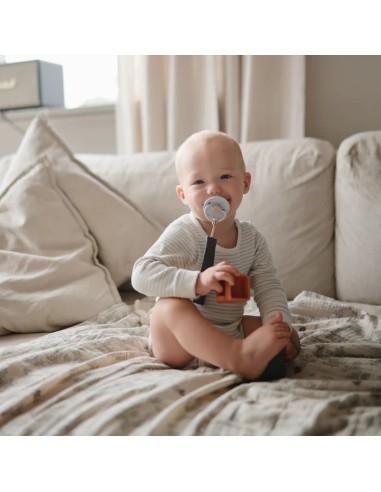 Pack 4 vehiculos baño solid multi