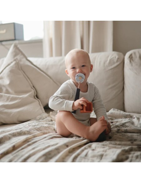 Pack 4 vehiculos baño solid multi