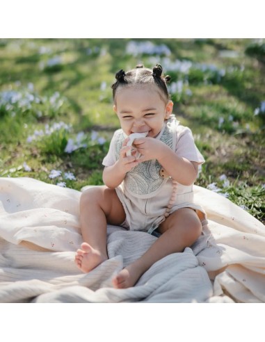 Pack dos alimentadores soft lilac