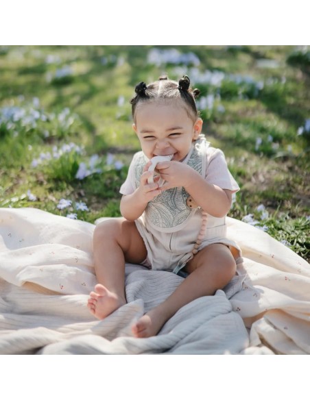 Pack dos alimentadores soft lilac