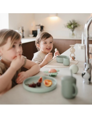 Plato clasico con ventosa solid soft lilac