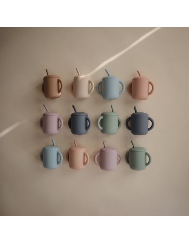 Taza didáctica+pajita silicona solid blush