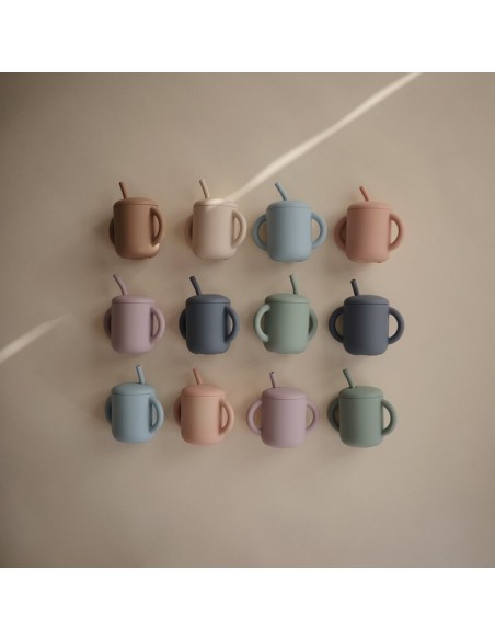 Taza didáctica+pajita silicona solid blush