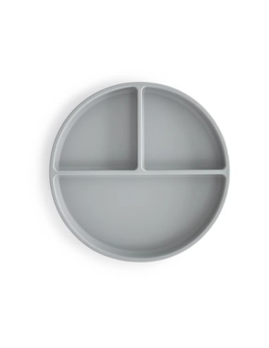 Plato ventosa-compartimentos solid stone