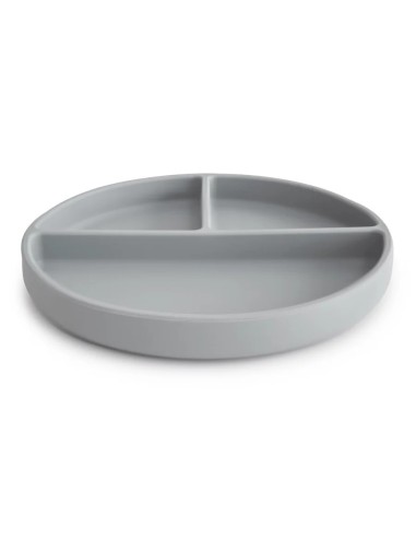 Plato ventosa-compartimentos solid stone