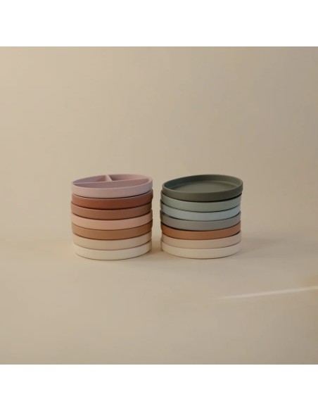 Plato ventosa-compartimentos solid stone