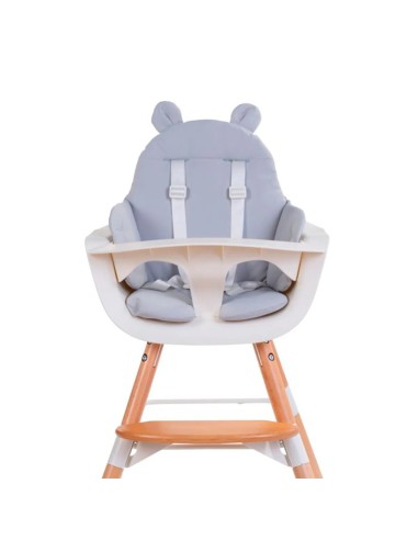 Cojin trona evolu y evosit gris