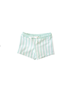 Boys lycra stripes mint