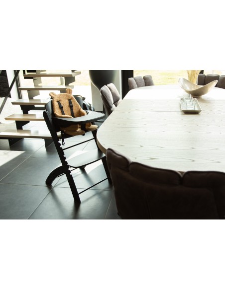 Trona evolutiva evosit natural negra