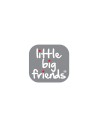 little big friends